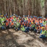 Líderes de CAMCORE conocen avances de CMPC en genética y sostenibilidad forestal